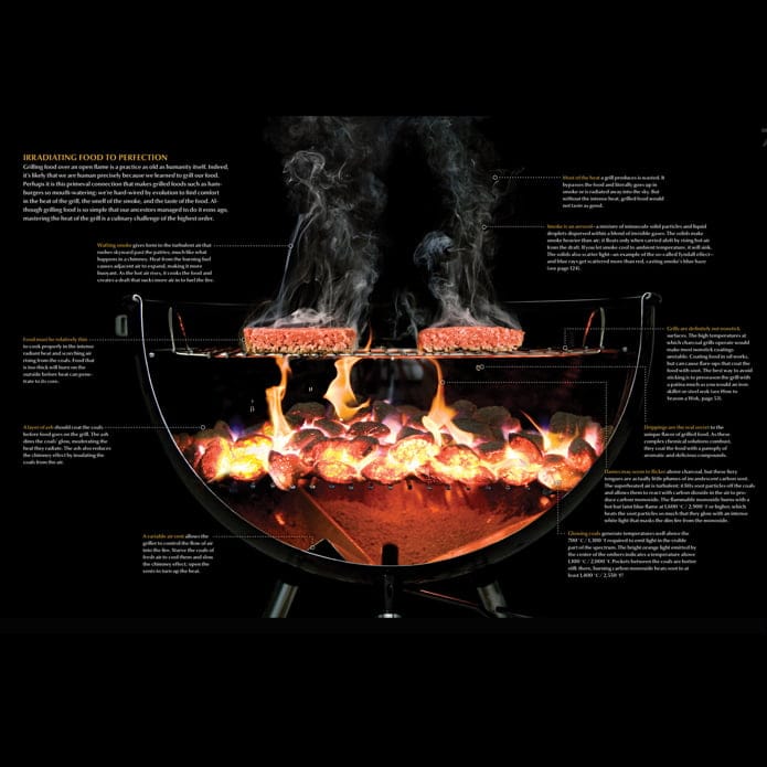 Modernist Cuisine av: Nathan Myhrvold, Chris Young och Maxime Bilet Grill