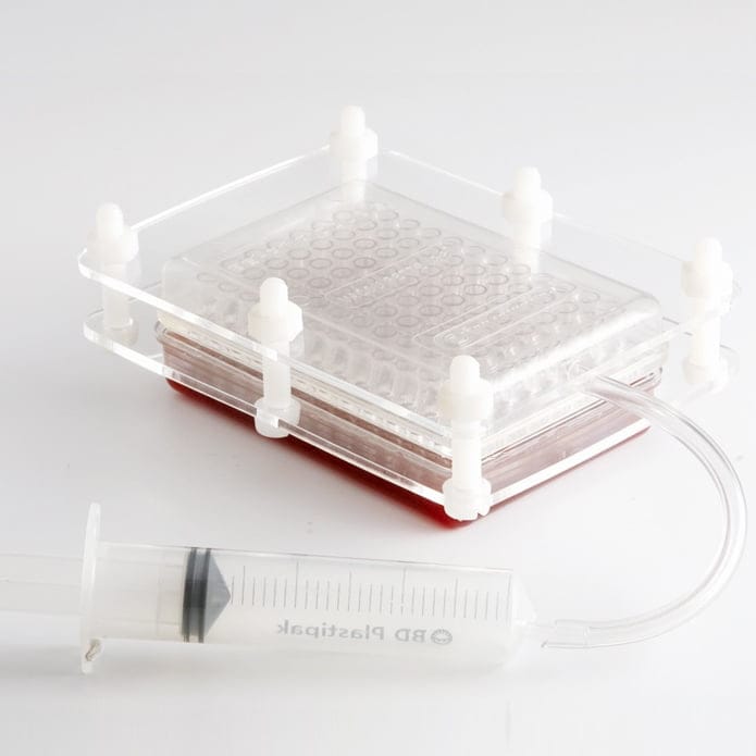 Caviar box för att göra rom av puré, formen