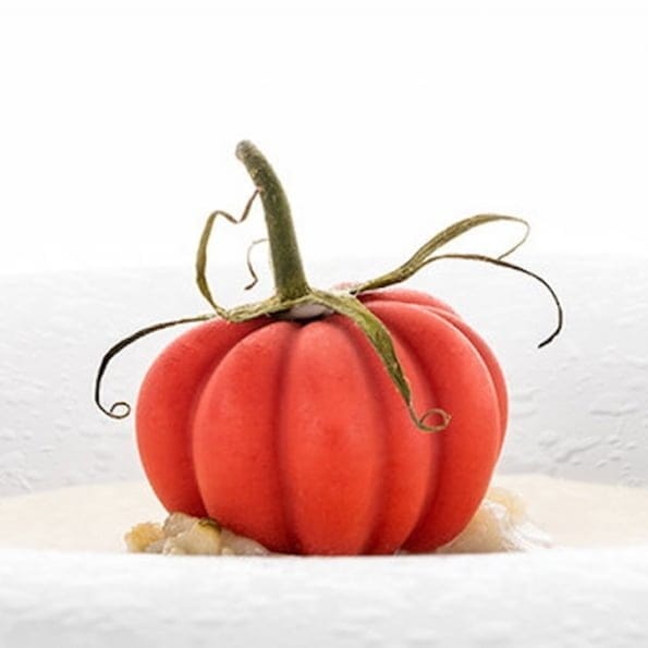 Pomodoro24 GN 1/3 Från Silikomart Professional - sverige - Söders gourmet - silikonform tomat lagd tallrik