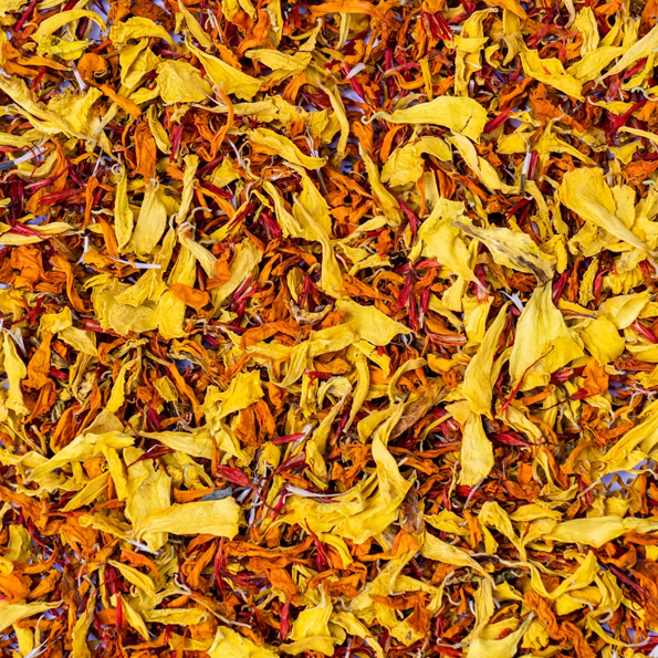 Crépuscule - ätbara blommor 8g från Vanissa för att din sallad, ost servering, dessert, tårta eller amuse bouche ska bli extraordinär. nu i sverige hos Söders gourmet närbild blomblad